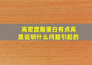 高密度脂蛋白有点高是说明什么问题引起的