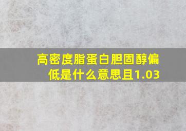 高密度脂蛋白胆固醇偏低是什么意思且1.03