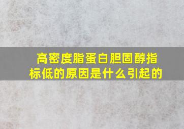 高密度脂蛋白胆固醇指标低的原因是什么引起的