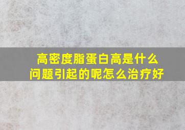 高密度脂蛋白高是什么问题引起的呢怎么治疗好