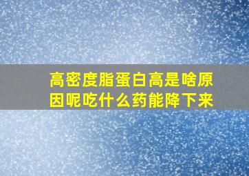 高密度脂蛋白高是啥原因呢吃什么药能降下来