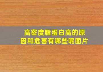 高密度脂蛋白高的原因和危害有哪些呢图片