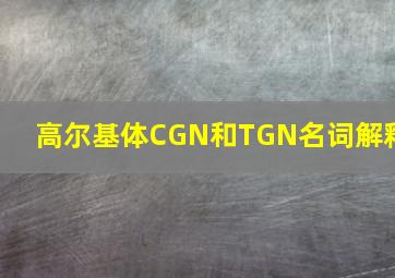 高尔基体CGN和TGN名词解释