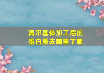 高尔基体加工后的蛋白质去哪里了呢