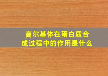 高尔基体在蛋白质合成过程中的作用是什么