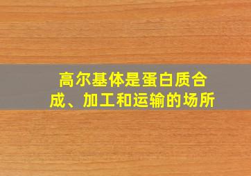 高尔基体是蛋白质合成、加工和运输的场所