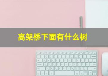 高架桥下面有什么树