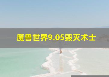 魔兽世界9.05毁灭术士