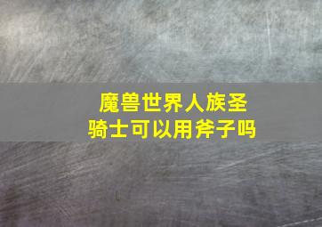 魔兽世界人族圣骑士可以用斧子吗