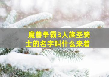 魔兽争霸3人族圣骑士的名字叫什么来着