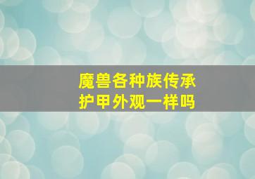 魔兽各种族传承护甲外观一样吗