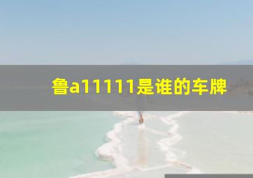 鲁a11111是谁的车牌