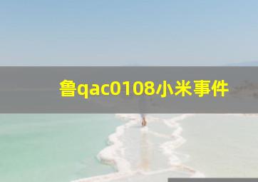 鲁qac0108小米事件