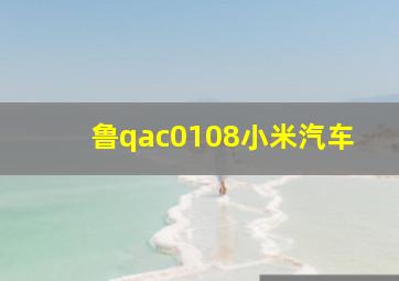 鲁qac0108小米汽车