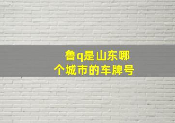 鲁q是山东哪个城市的车牌号