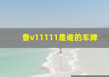 鲁v11111是谁的车牌