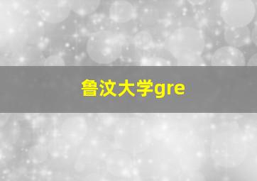 鲁汶大学gre