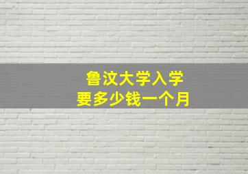 鲁汶大学入学要多少钱一个月