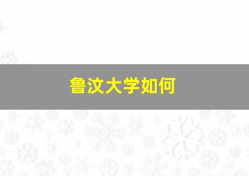 鲁汶大学如何