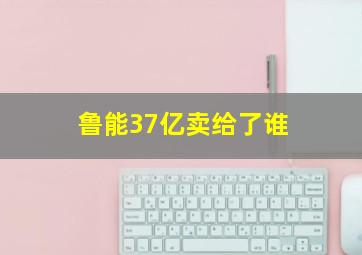 鲁能37亿卖给了谁