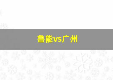 鲁能vs广州