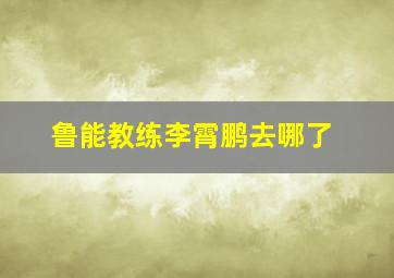 鲁能教练李霄鹏去哪了