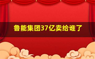 鲁能集团37亿卖给谁了