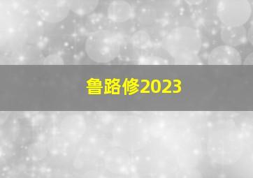 鲁路修2023