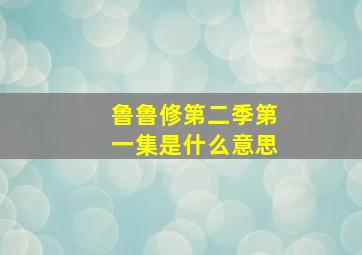 鲁鲁修第二季第一集是什么意思