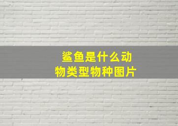 鲨鱼是什么动物类型物种图片