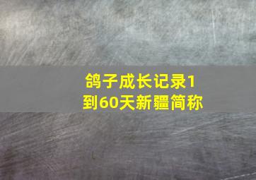 鸽子成长记录1到60天新疆简称