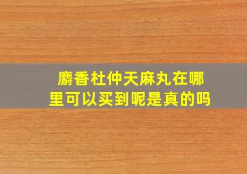 麝香杜仲天麻丸在哪里可以买到呢是真的吗