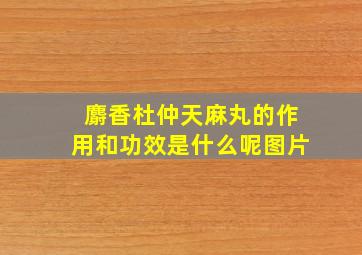 麝香杜仲天麻丸的作用和功效是什么呢图片