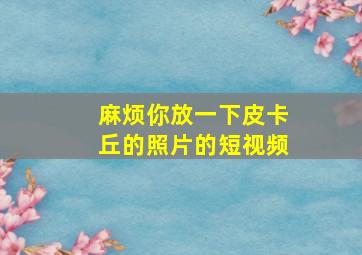 麻烦你放一下皮卡丘的照片的短视频