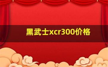 黑武士xcr300价格