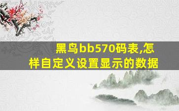 黑鸟bb570码表,怎样自定义设置显示的数据