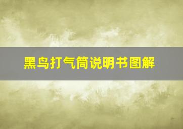 黑鸟打气筒说明书图解