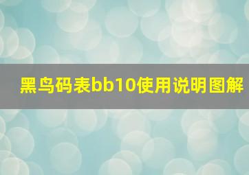 黑鸟码表bb10使用说明图解