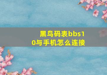 黑鸟码表bbs10与手机怎么连接