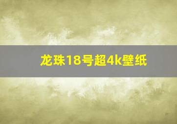 龙珠18号超4k壁纸