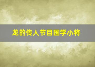 龙的传人节目国学小将