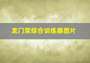 龙门架综合训练器图片