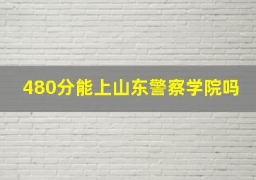 480分能上山东警察学院吗