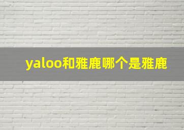 yaloo和雅鹿哪个是雅鹿