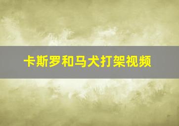 卡斯罗和马犬打架视频