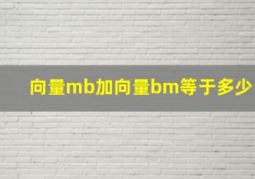 向量mb加向量bm等于多少