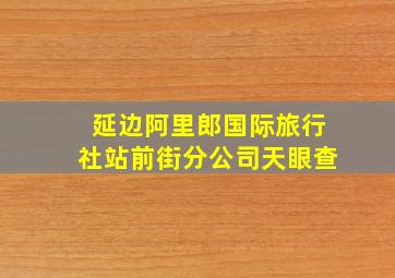 延边阿里郎国际旅行社站前街分公司天眼查