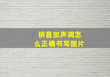 拼音加声调怎么正确书写图片