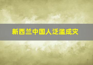 新西兰中国人泛滥成灾