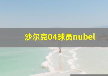 沙尔克04球员nubel